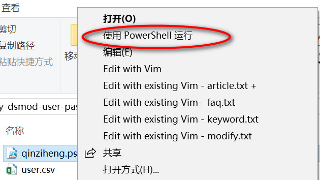 运行powershell代码