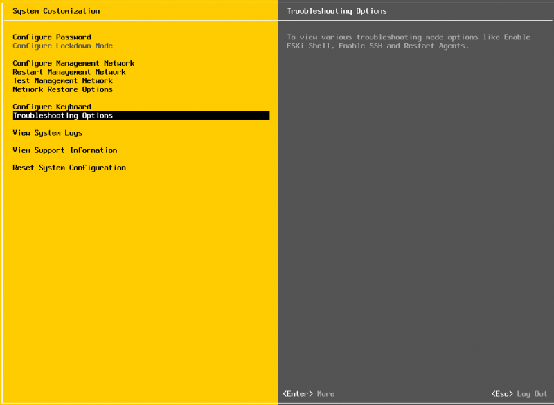 ESXi Troubleshooting Options